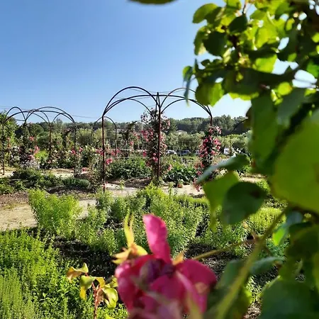 Bed & Breakfast La Bastide Des Saveurs *